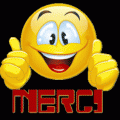 Merci.gif
