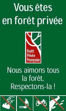 Foret privee 1