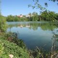 img-7113.jpg