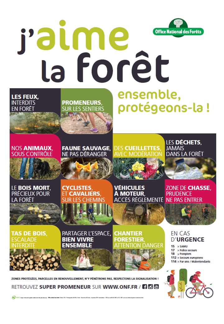 La foret protegeons la