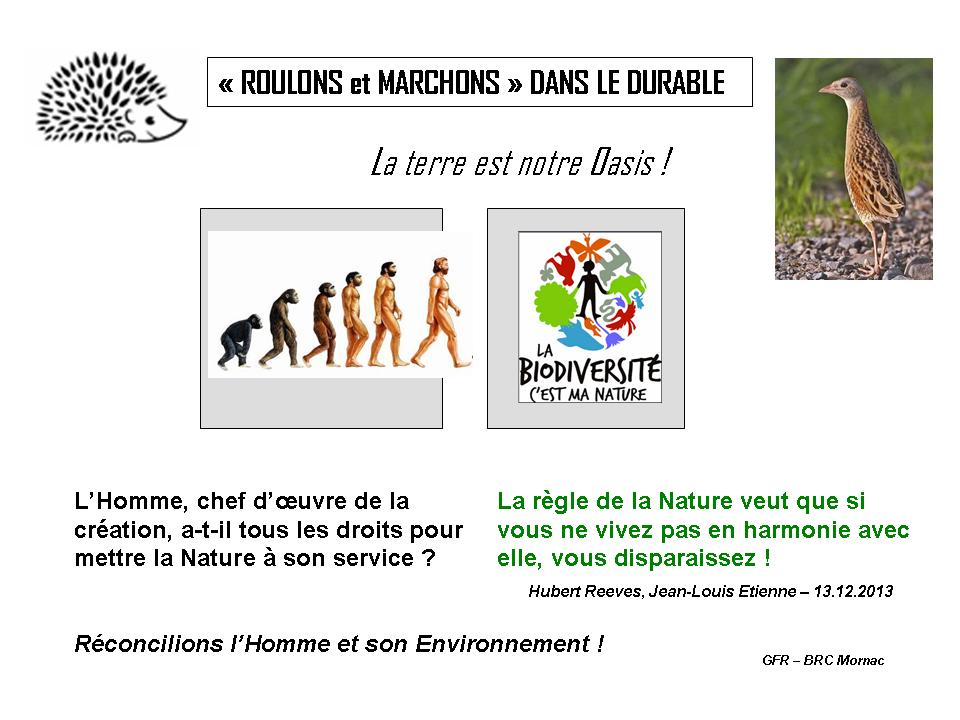 Sauvons la planete 2 a3