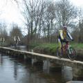 transbrac2012.jpg